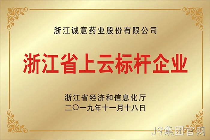 浙江省上云标◤杆企业 浙江省上云标✯✯杆企业