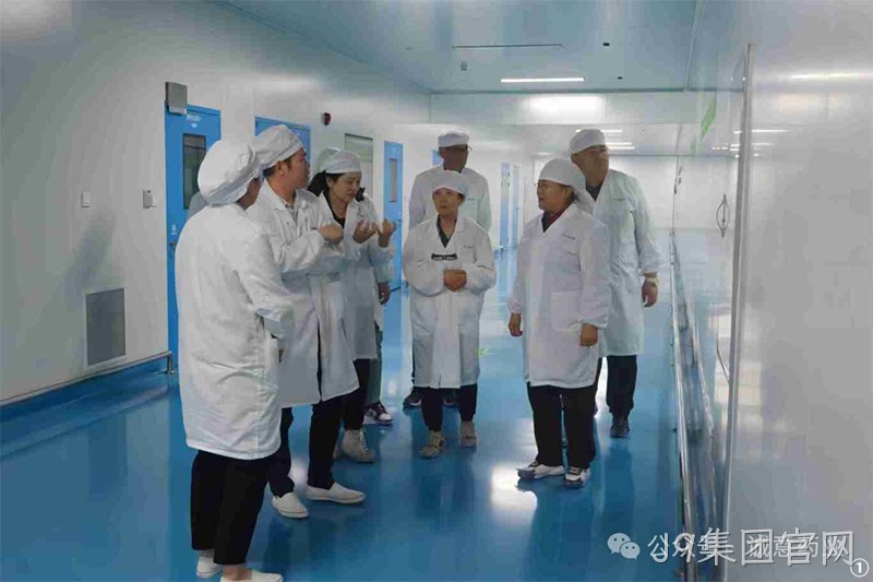 J9集团官网 (1) J9集团官网 (1)